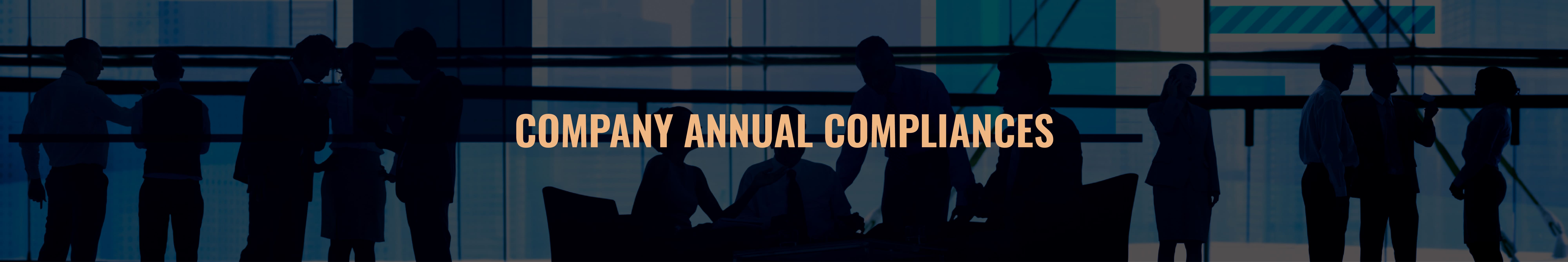 Company Annual Compliances